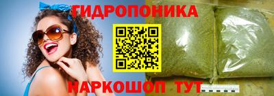 стафф Будённовск