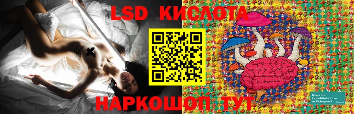Альфа ПВП Костомукша