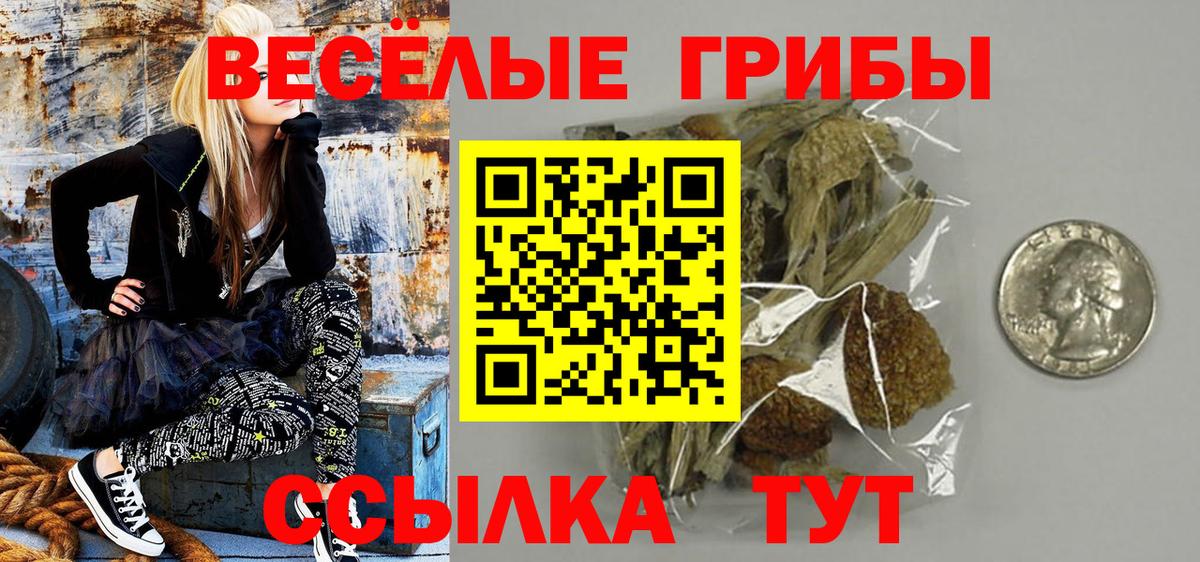 Галлюциногенные грибы Magic Shrooms  Вход с VPN  Псилоцибиновые грибы MAGIC MUSHROOMS  Костомукша 