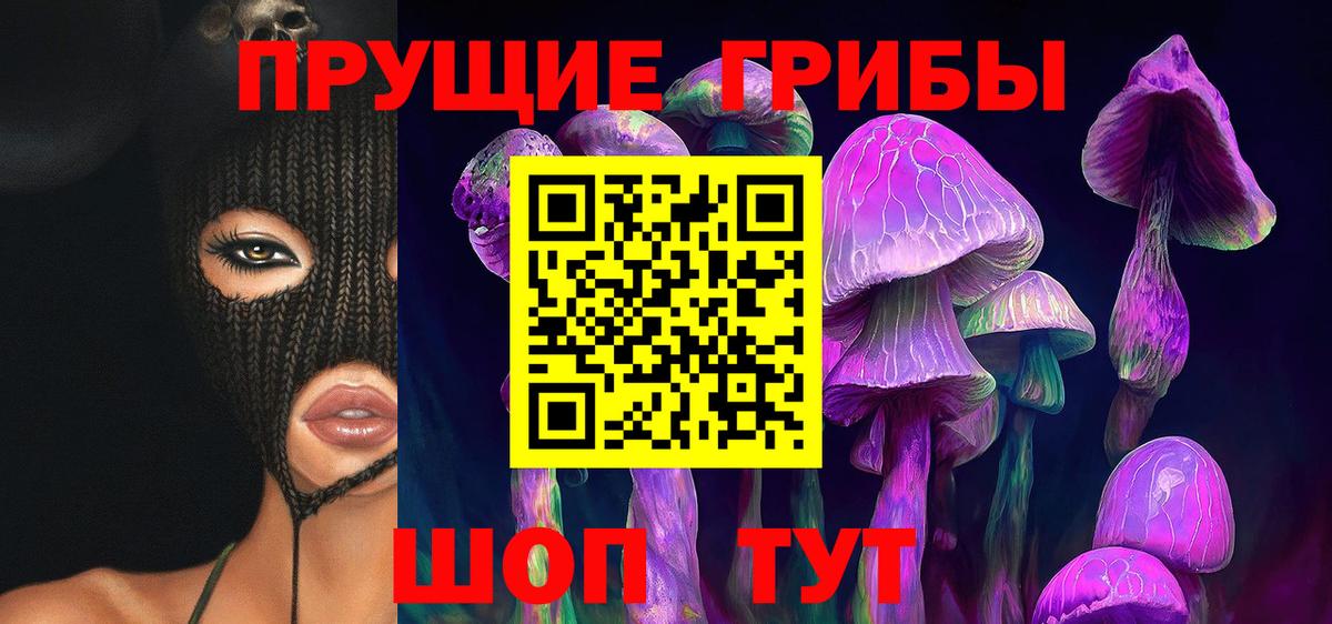 Псилоцибиновые грибы GOLDEN TEACHER Костомукша